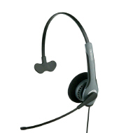 gn_netcom_2010